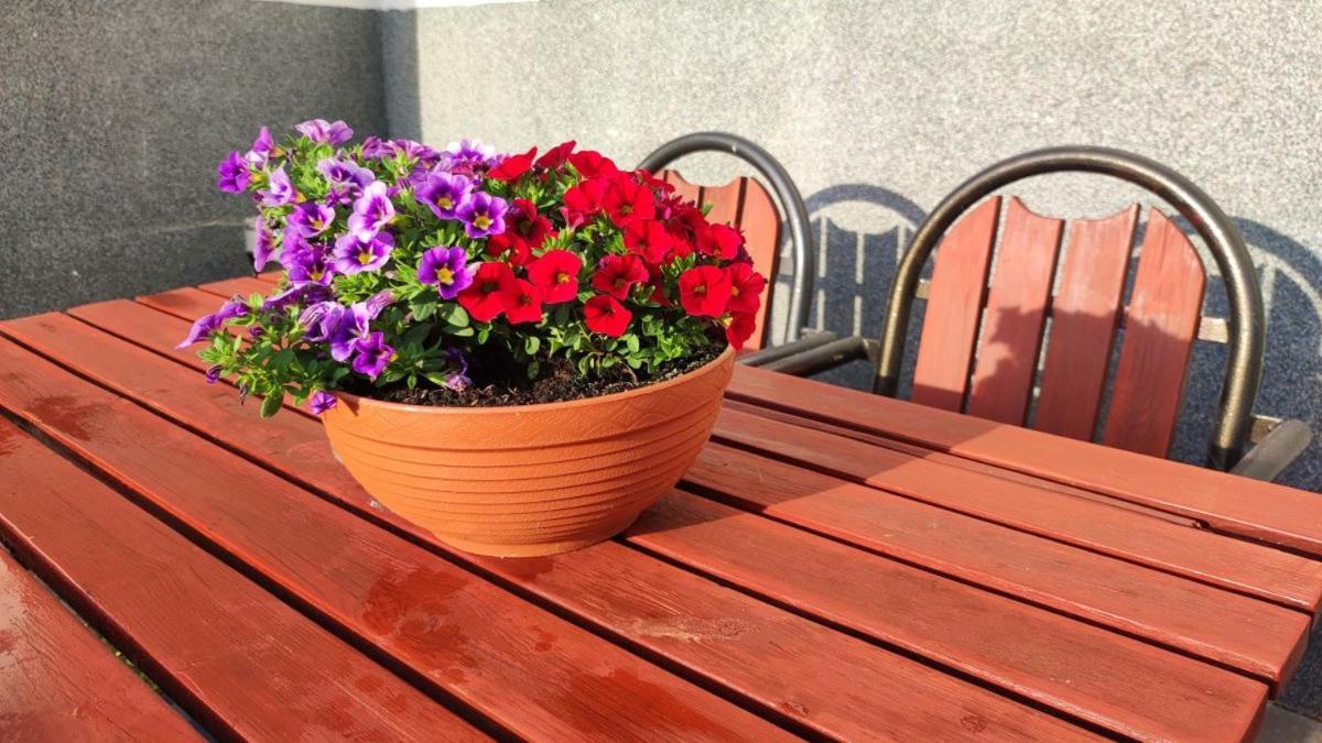 Osrodek Wczasowy Krasniczanka Hotel Muszyna Eksteriør billede